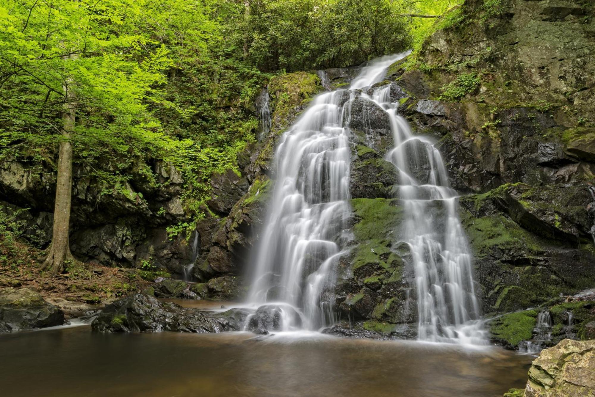 Highland Dream, Hot Tub, 1089 Free Tickets Each Paid Day, Dollywood And More Sevierville Buitenkant foto