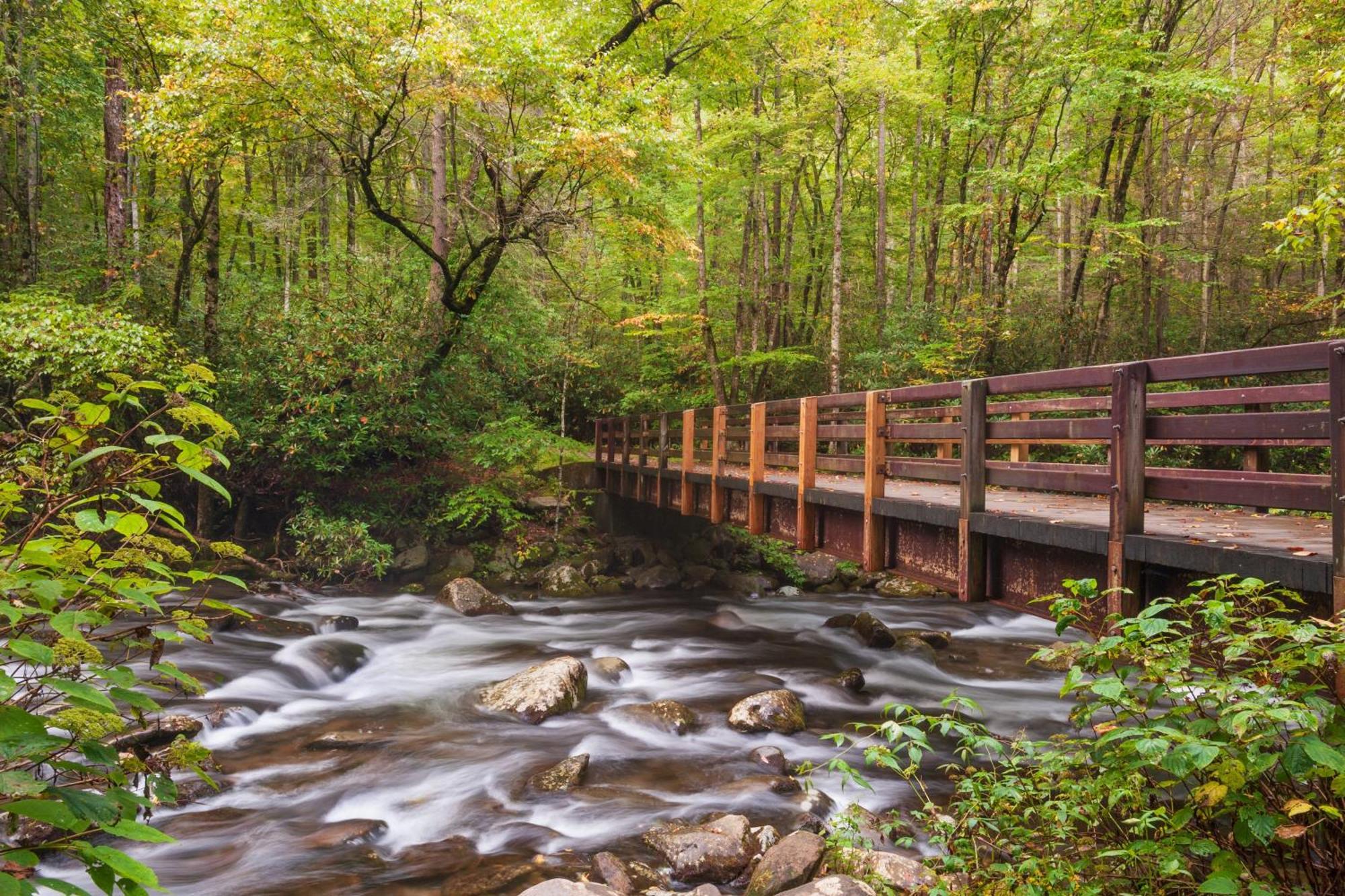 Highland Dream, Hot Tub, 1089 Free Tickets Each Paid Day, Dollywood And More Sevierville Buitenkant foto